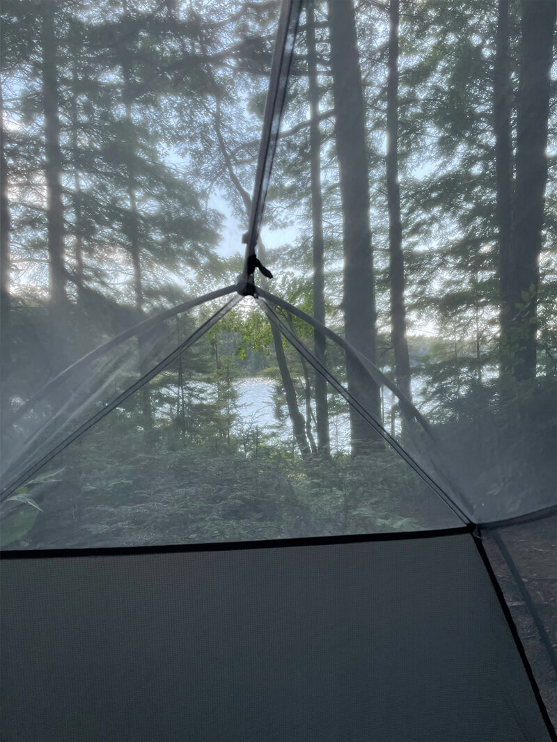 Looking at trees through the screen of a tent 